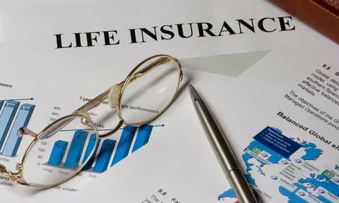 Ally Permanent Life Insurance