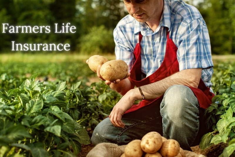 Farmers Life Insurance