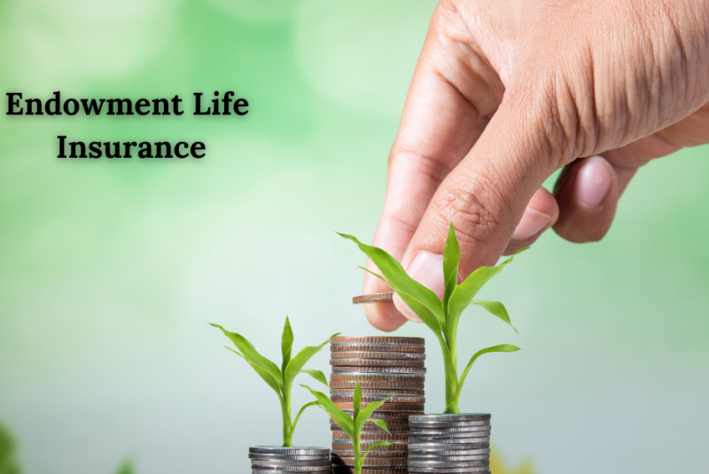 Endowment Life Insurance