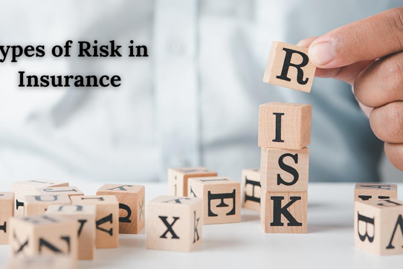 Types of Risk in Insurance